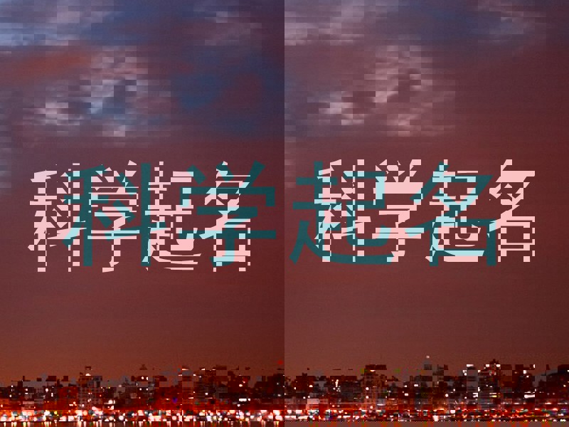 科学起名