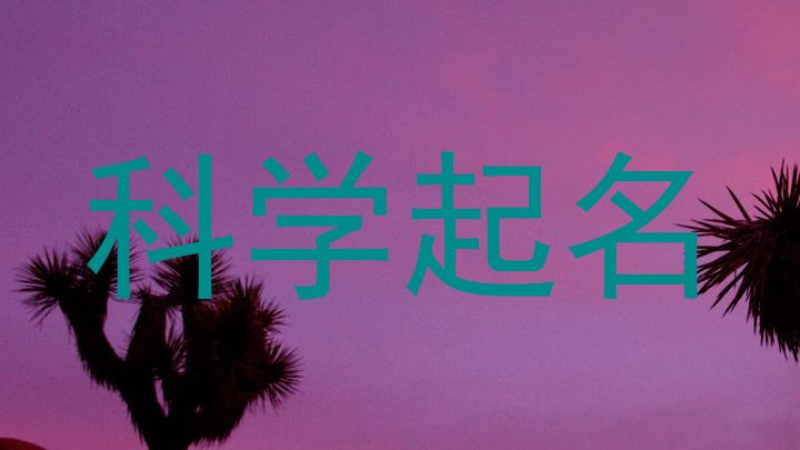 科学起名