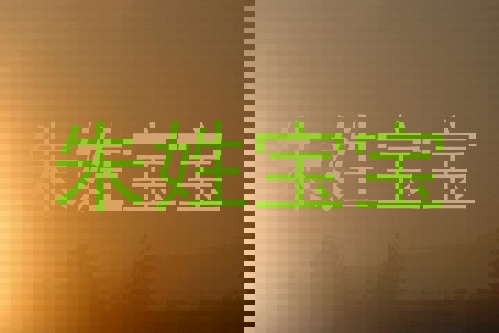 朱姓宝宝