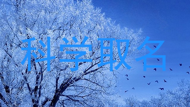 科学取名
