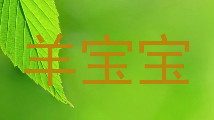 羊宝宝