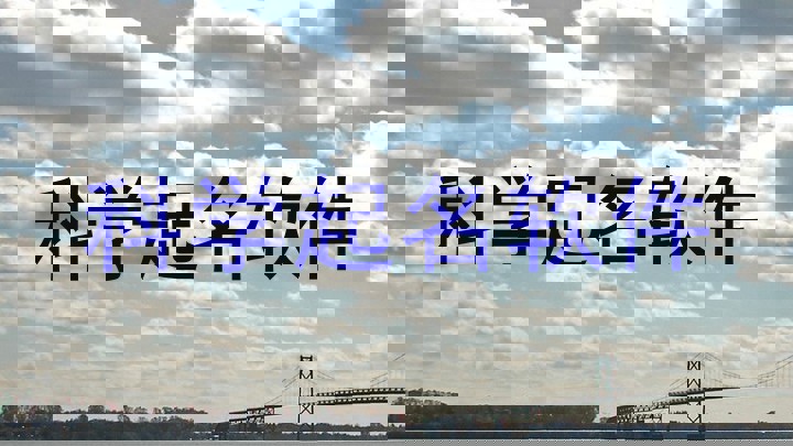 科学起名软件