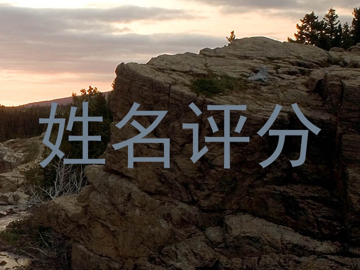 姓名评分
