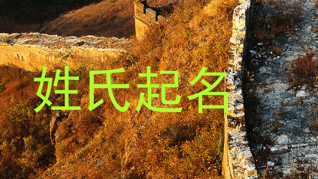 姓氏起名