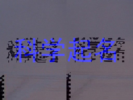 科学起名
