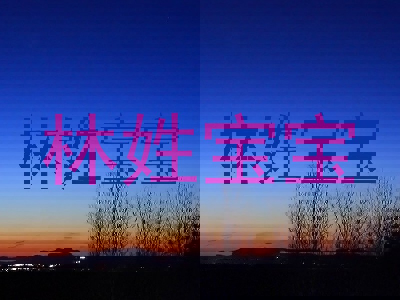林姓宝宝