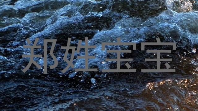 郑姓宝宝