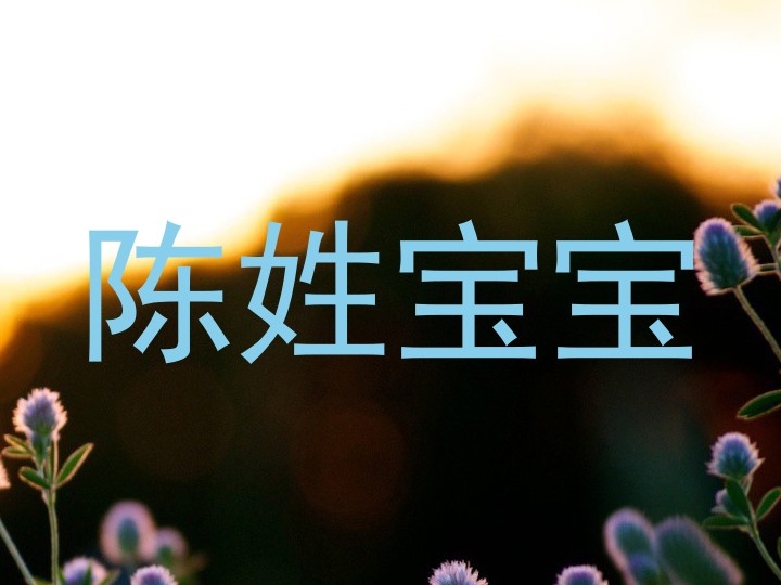 陈姓宝宝