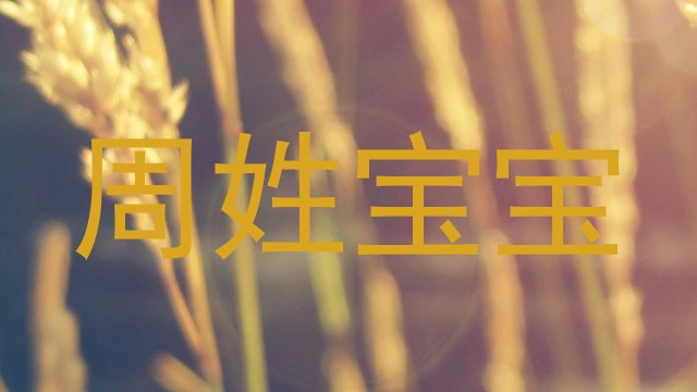 周姓宝宝