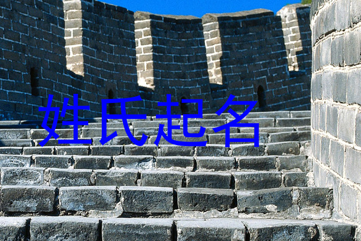 姓氏起名