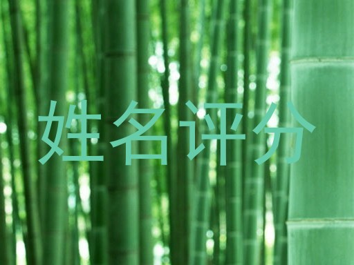 姓名评分