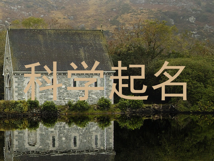 科学起名