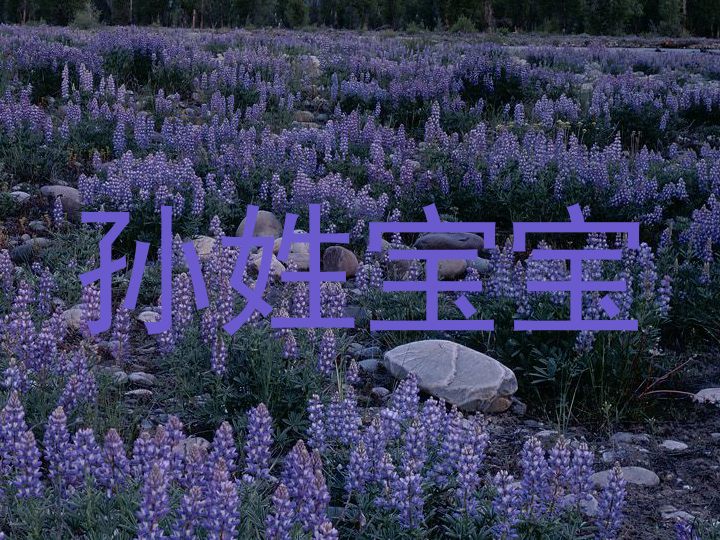 孙姓宝宝