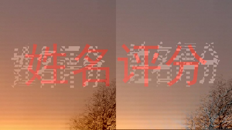 姓名评分
