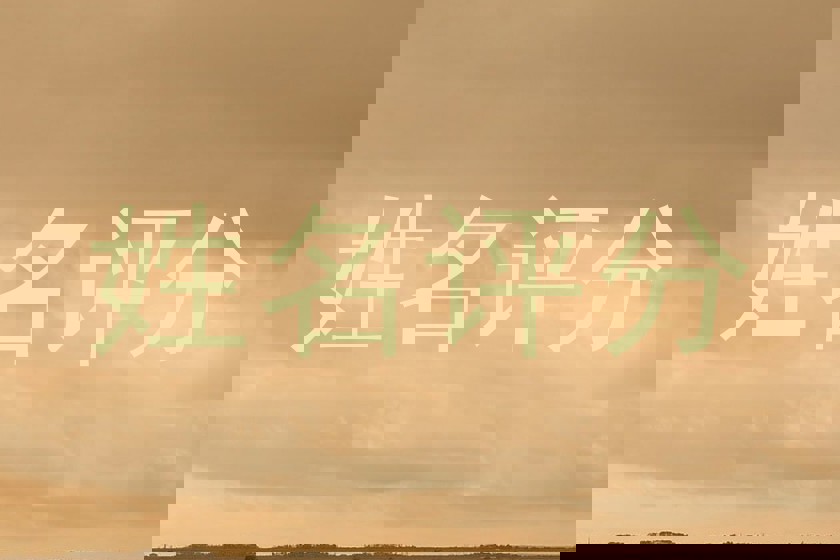 姓名评分