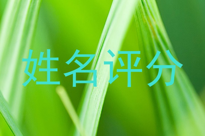 姓名评分
