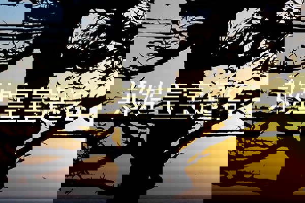 郑姓宝宝起名