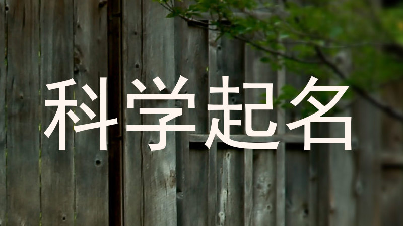 科学起名