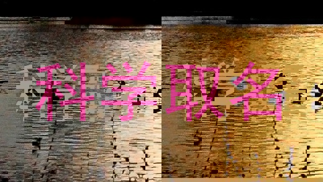 科学取名