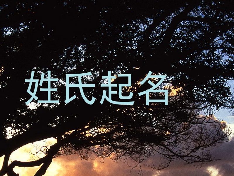 姓氏起名