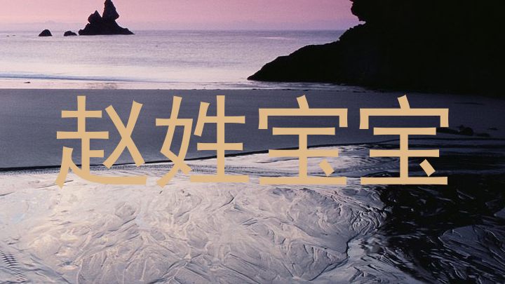 赵姓宝宝
