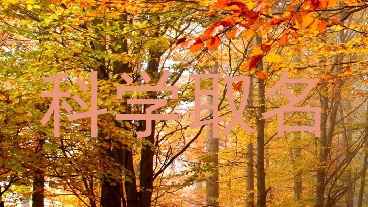 科学取名