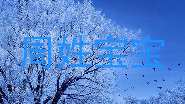 周姓宝宝