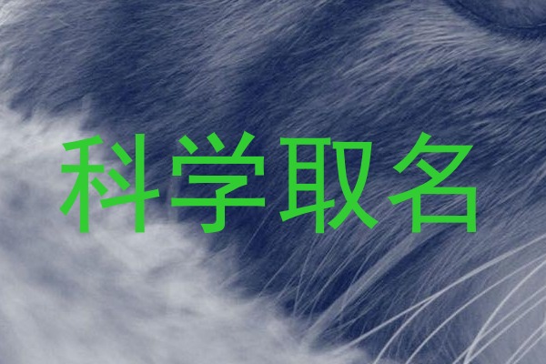 科学取名