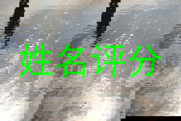 姓名评分