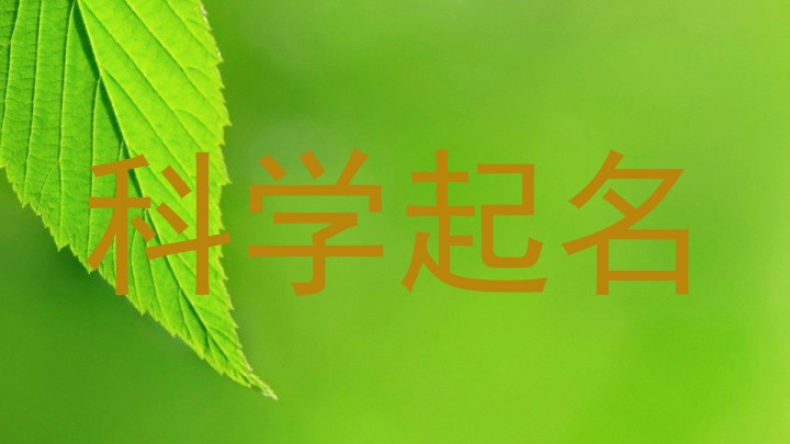 科学起名