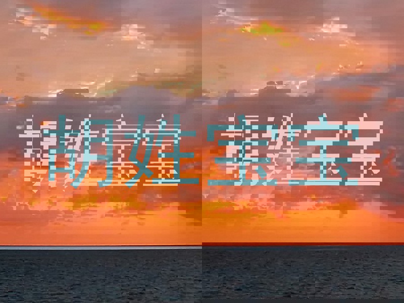 胡姓宝宝