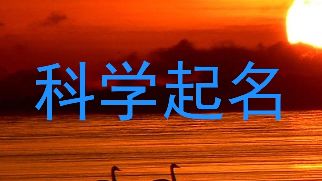 科学起名