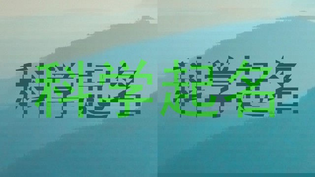科学起名