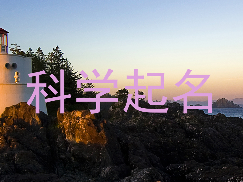 科学起名