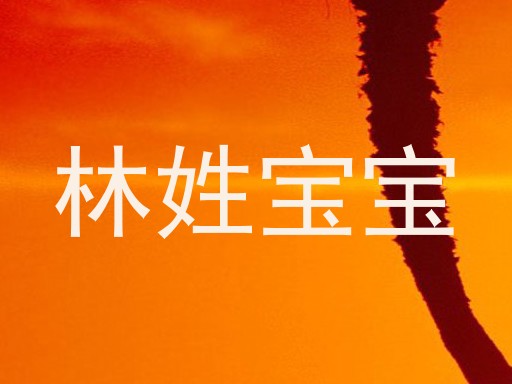林姓宝宝
