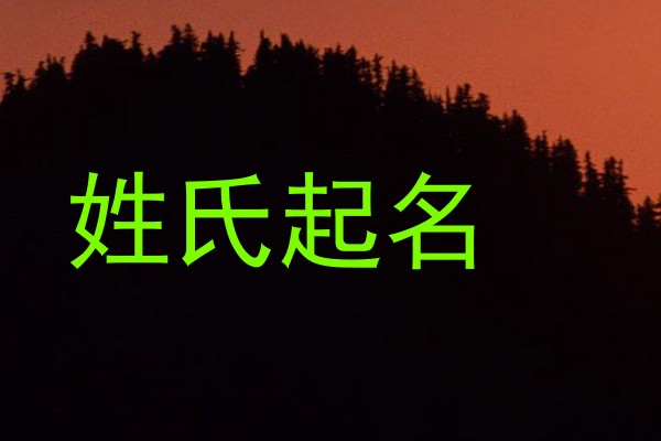 姓氏起名