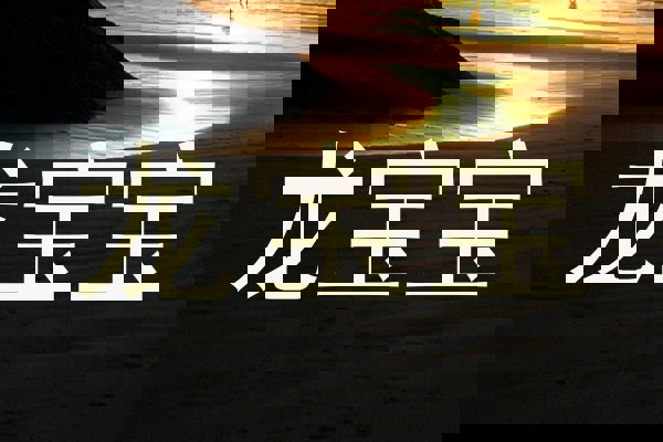 龙宝宝