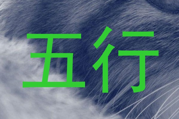 五行