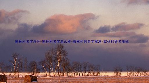 家林村名字评分-家林村名字怎么样-家林村的名字寓意-家林村姓名测试
