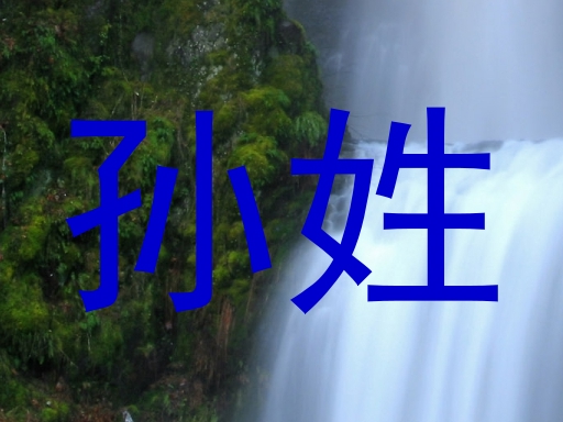 孙姓
