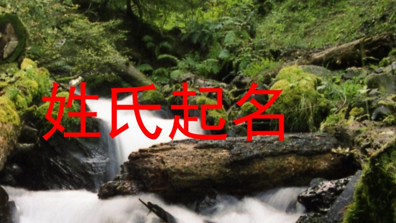 姓氏起名