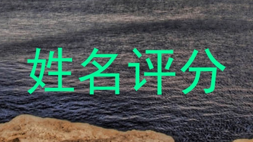 姓名评分