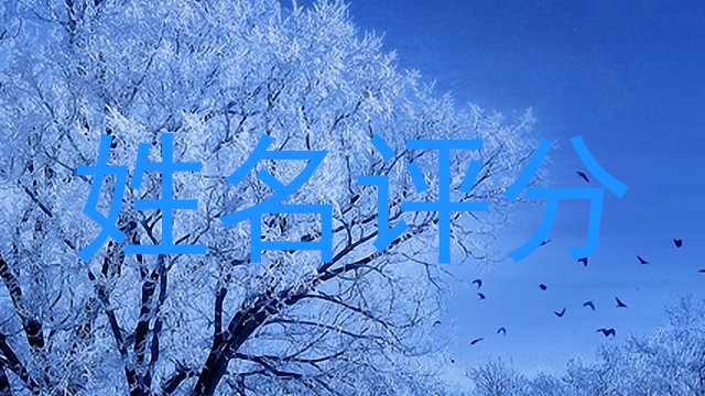姓名评分