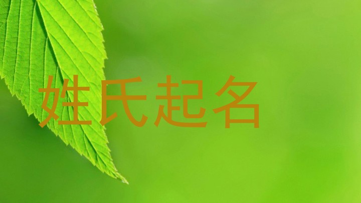 姓氏起名