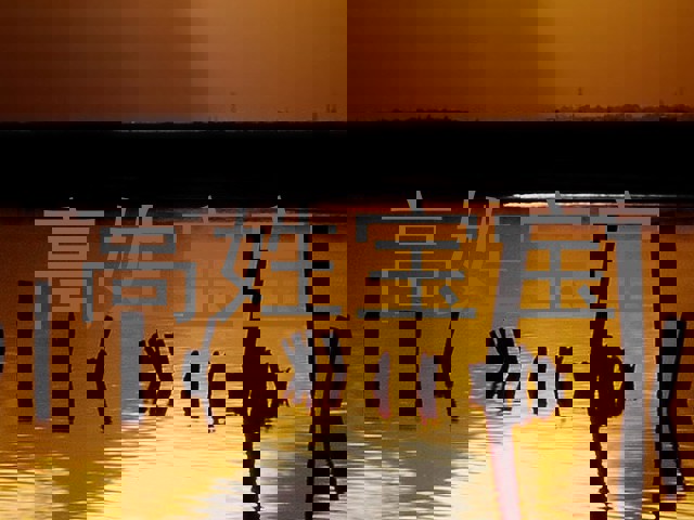 高姓宝宝