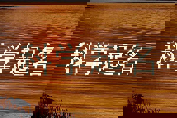 科学起名
