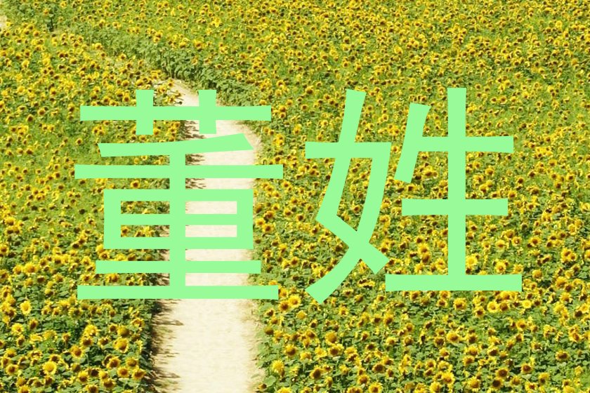 董姓