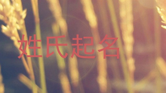 姓氏起名