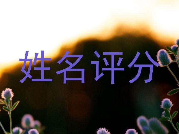 姓名评分