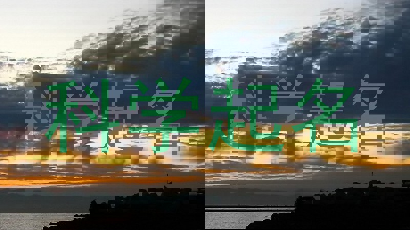 科学起名